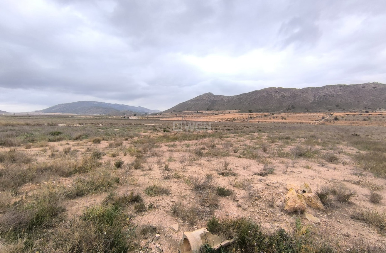 Resale - Plot / Land - Canada De La Lena - Inland