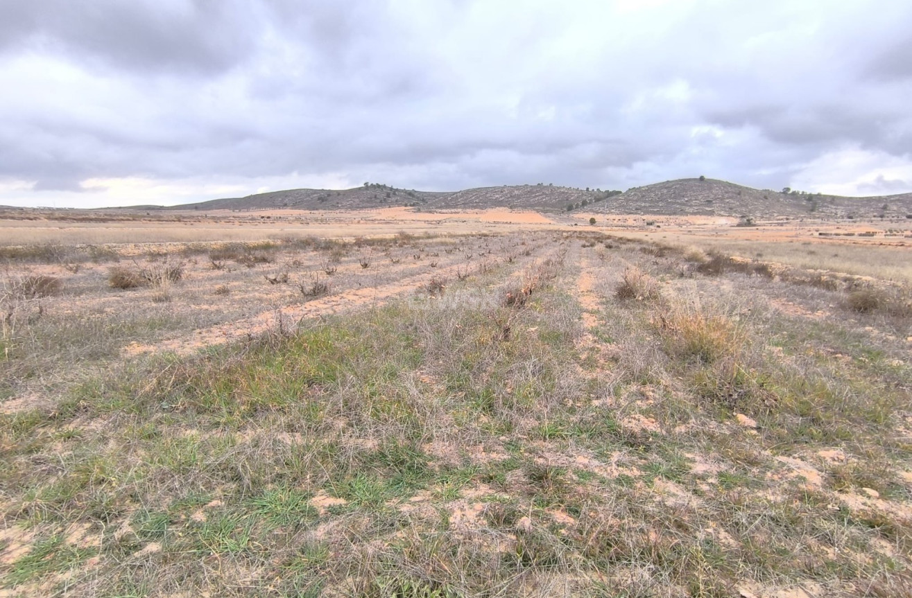 Odsprzedaż - Działka / Grunt - La Solana