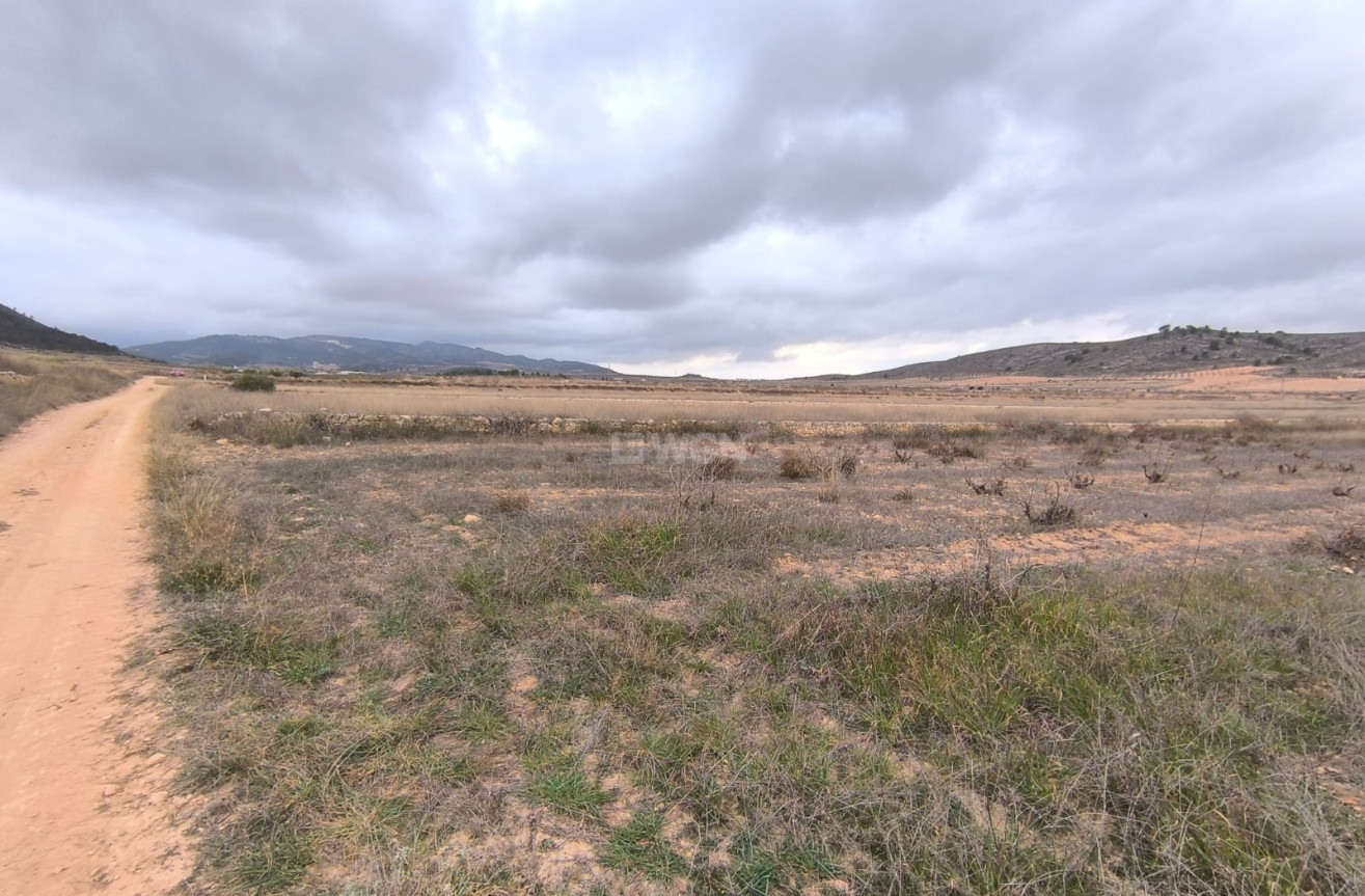 Odsprzedaż - Działka / Grunt - La Solana