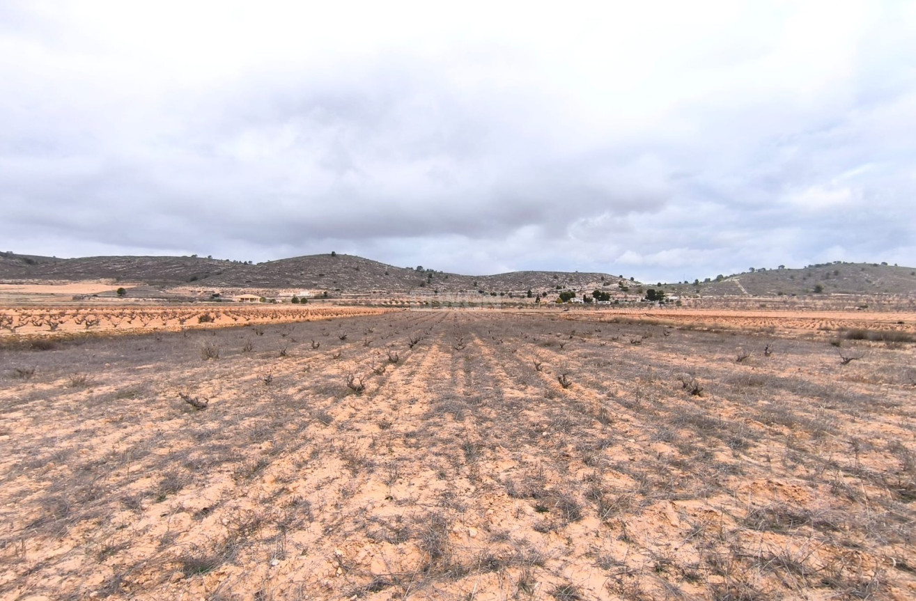 Odsprzedaż - Działka / Grunt - La Solana