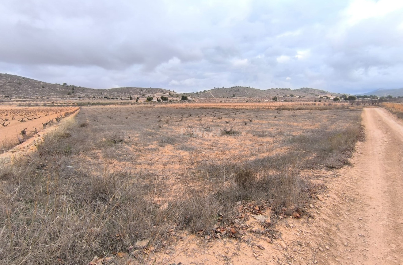 Odsprzedaż - Działka / Grunt - La Solana