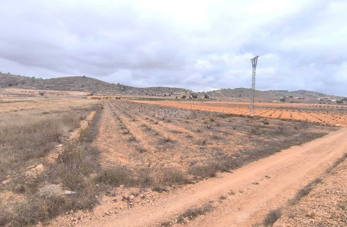 Reventa - Parcela / Terreno - La Solana