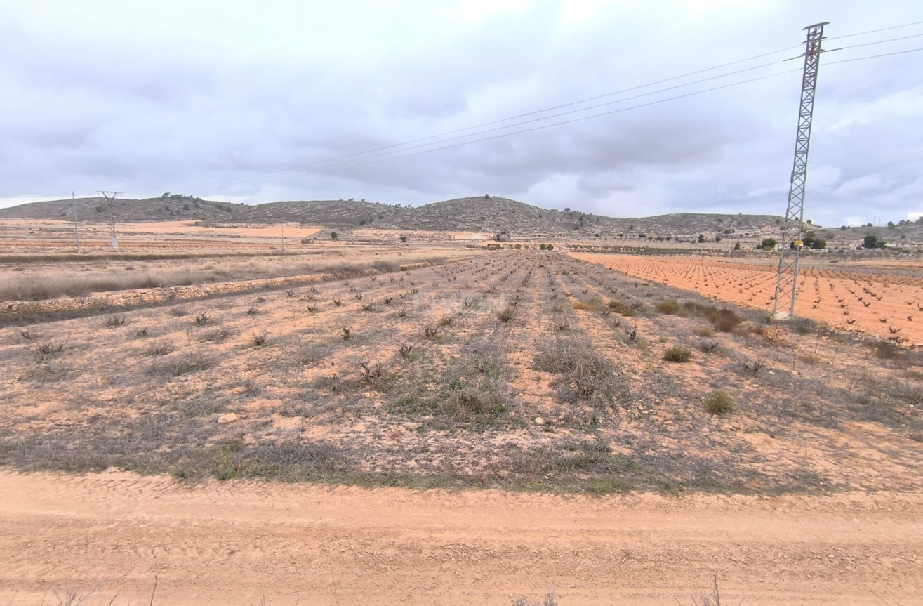 Reventa - Parcela / Terreno - La Solana