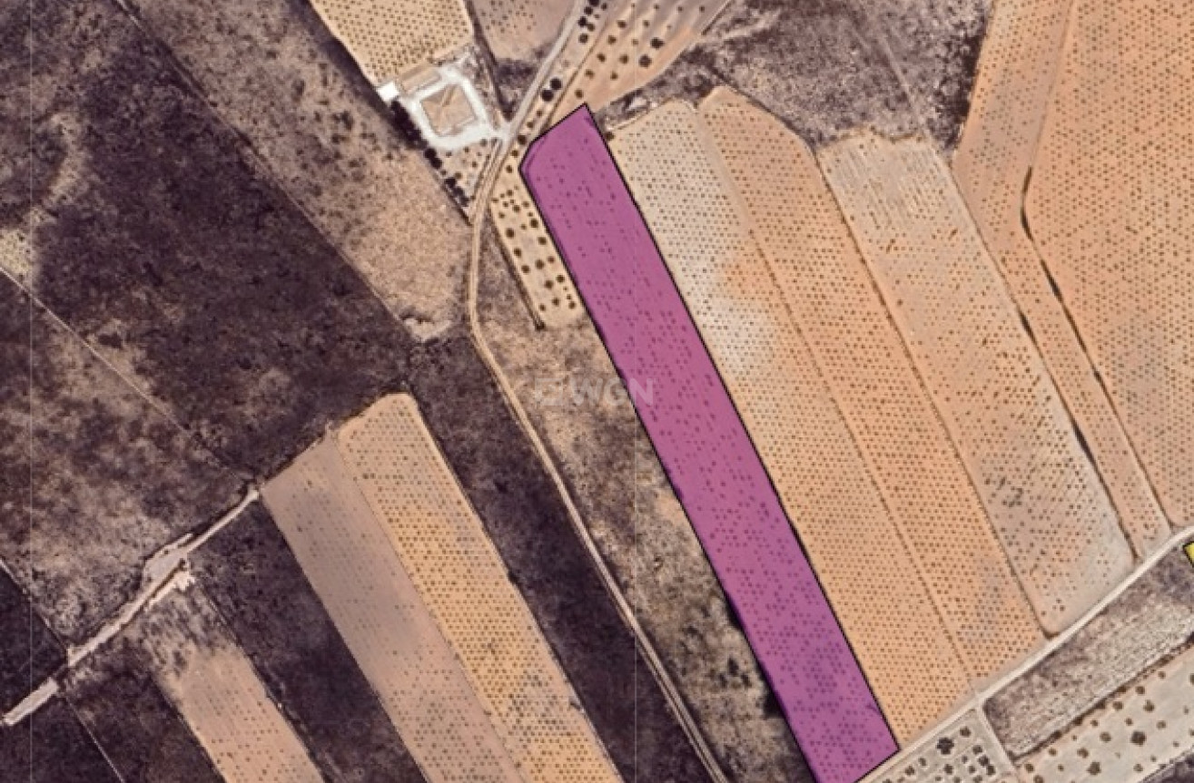 Reventa - Parcela / Terreno - La Solana