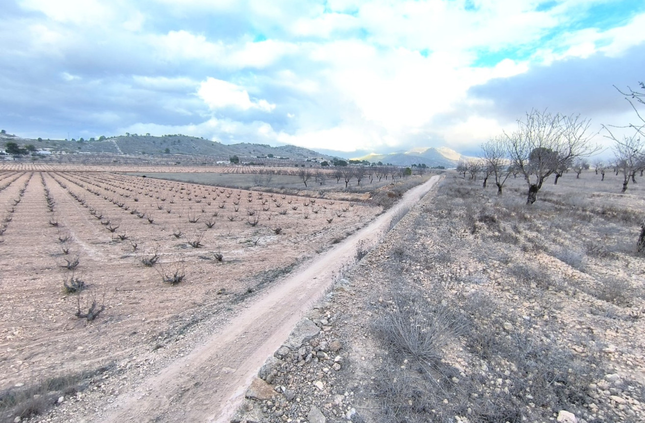 Reventa - Parcela / Terreno - La Solana