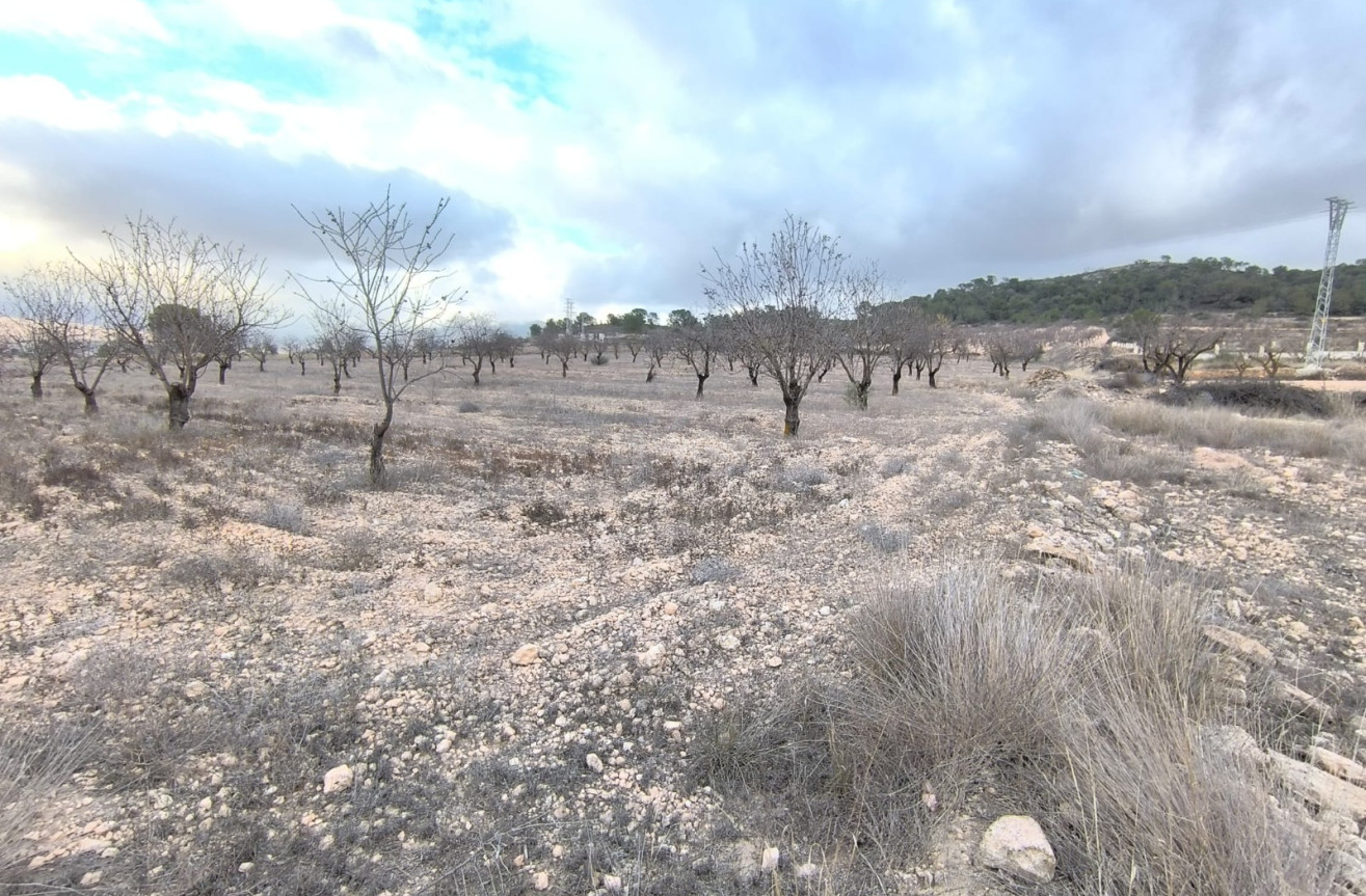 Reventa - Parcela / Terreno - La Solana