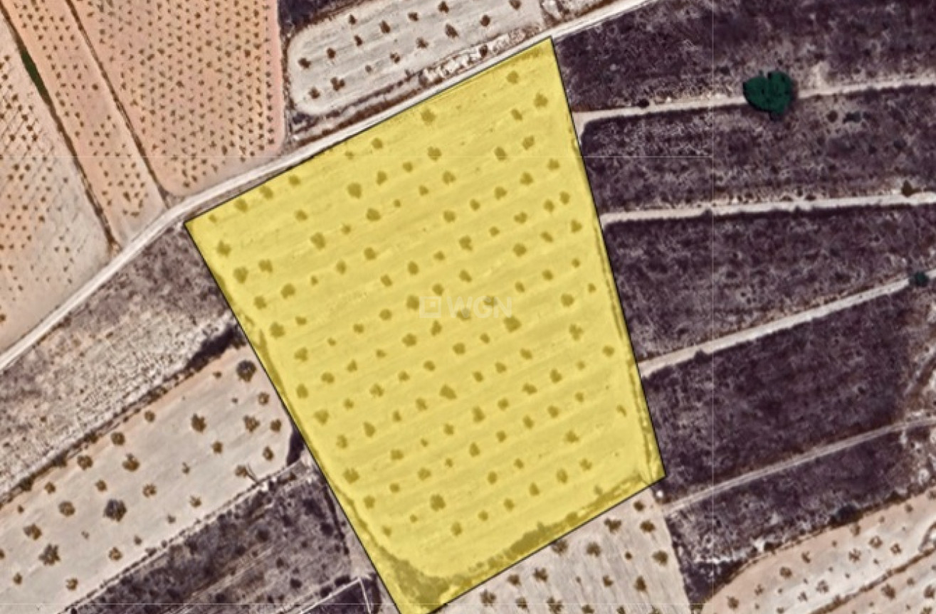 Reventa - Parcela / Terreno - La Solana