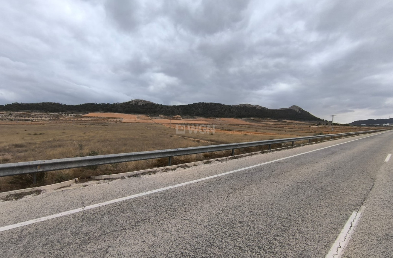 Reventa - Parcela / Terreno - La Solana