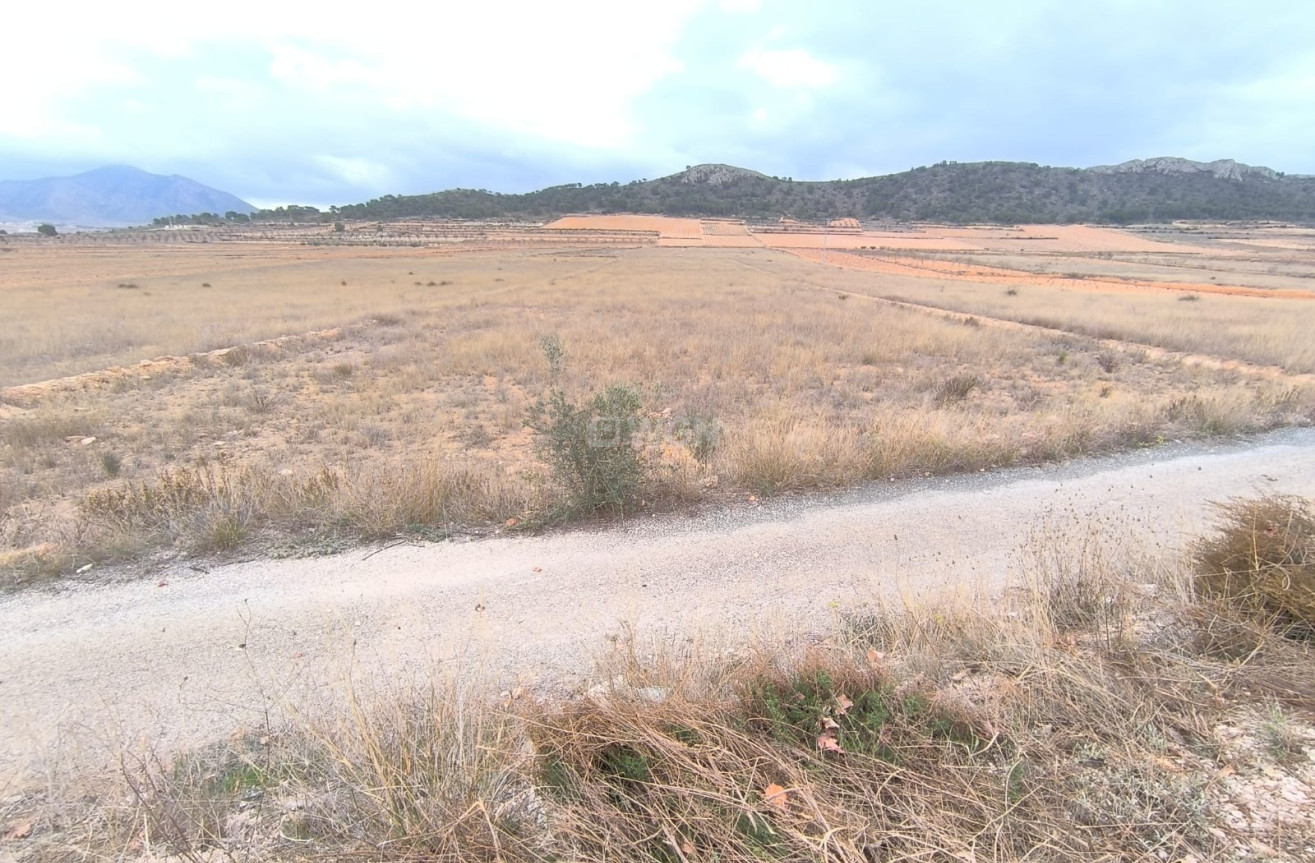 Reventa - Parcela / Terreno - La Solana