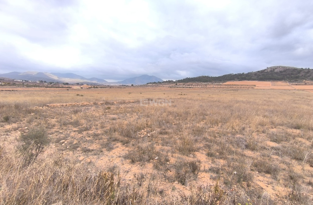 Reventa - Parcela / Terreno - La Solana