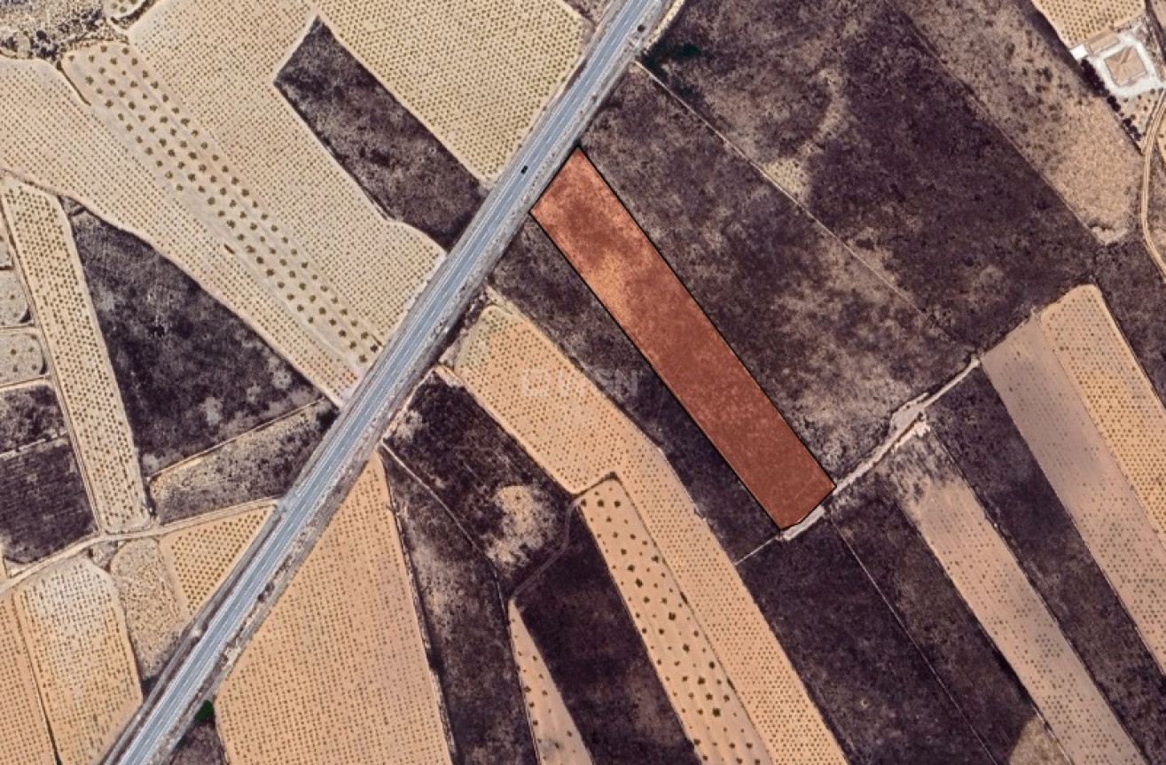 Reventa - Parcela / Terreno - La Solana