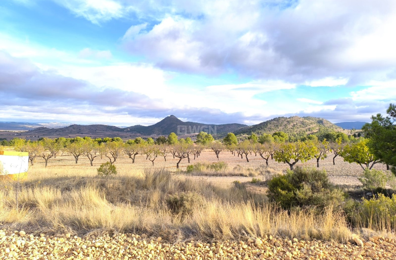 Odsprzedaż - Villa - Yecla - Inland