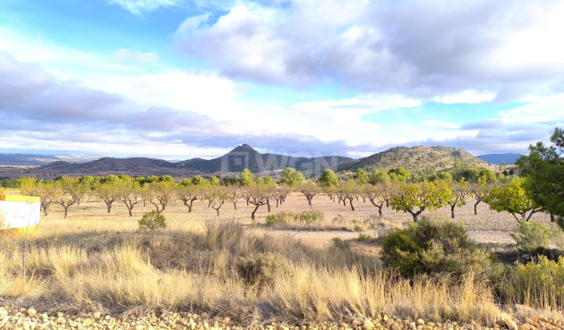 Odsprzedaż - Villa - Yecla - Inland