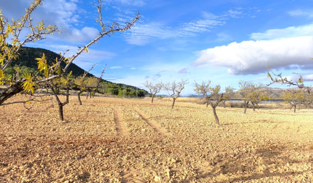 Odsprzedaż - Villa - Yecla - Inland