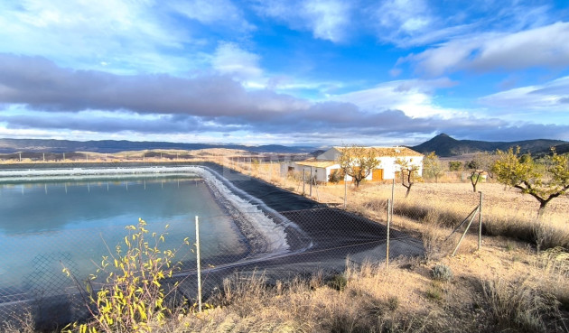 Odsprzedaż - Villa - Yecla - Inland