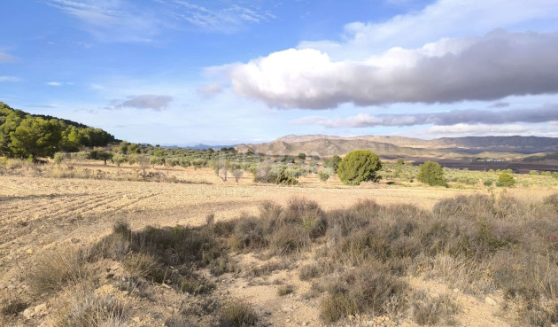 Odsprzedaż - Villa - Yecla - Inland