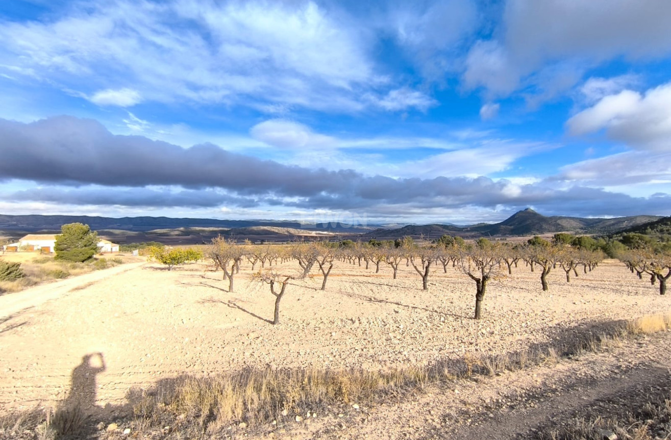 Odsprzedaż - Villa - Yecla - Inland