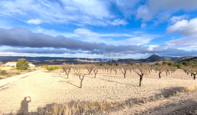 Odsprzedaż - Villa - Yecla - Inland