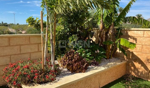 Resale - Villa - Albatera - Campo De Albatera