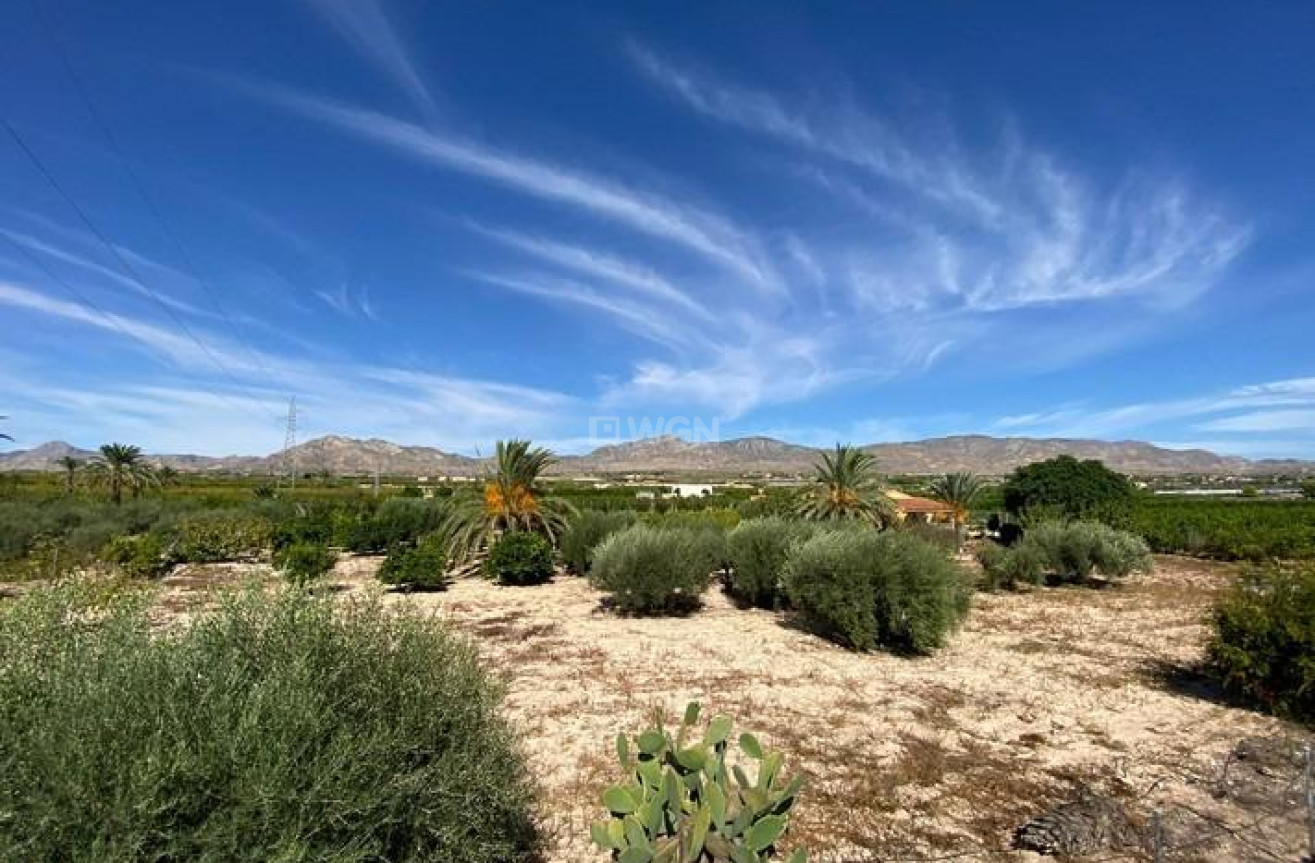 Resale - Villa - Albatera - Campo De Albatera