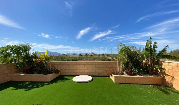 Resale - Villa - Albatera - Campo De Albatera