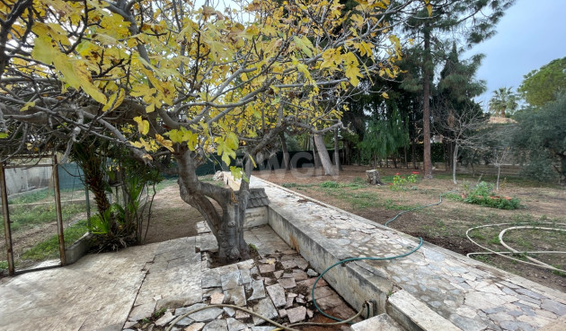 Resale - Villa - Elche - Costa Blanca