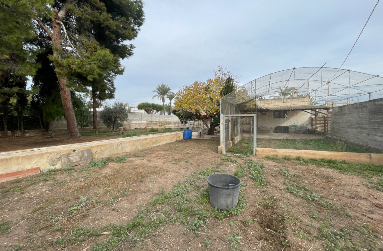 Resale - Villa - Elche - Costa Blanca