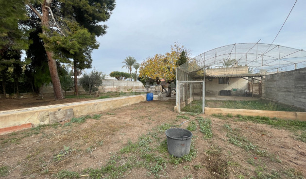 Resale - Villa - Elche - Costa Blanca