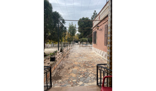 Resale - Villa - Elche - Costa Blanca