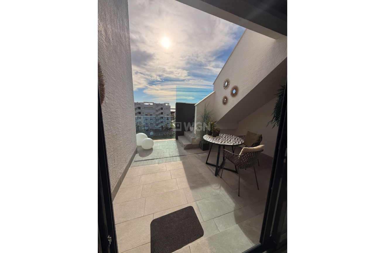 Resale - Apartment / flat - Guardamar del Segura - Costa Blanca