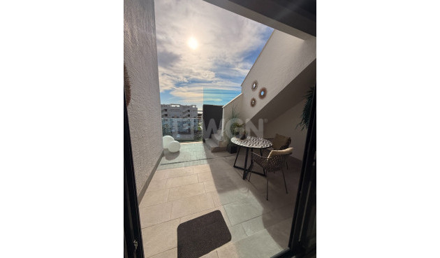 Resale - Apartment / flat - Guardamar del Segura - Costa Blanca