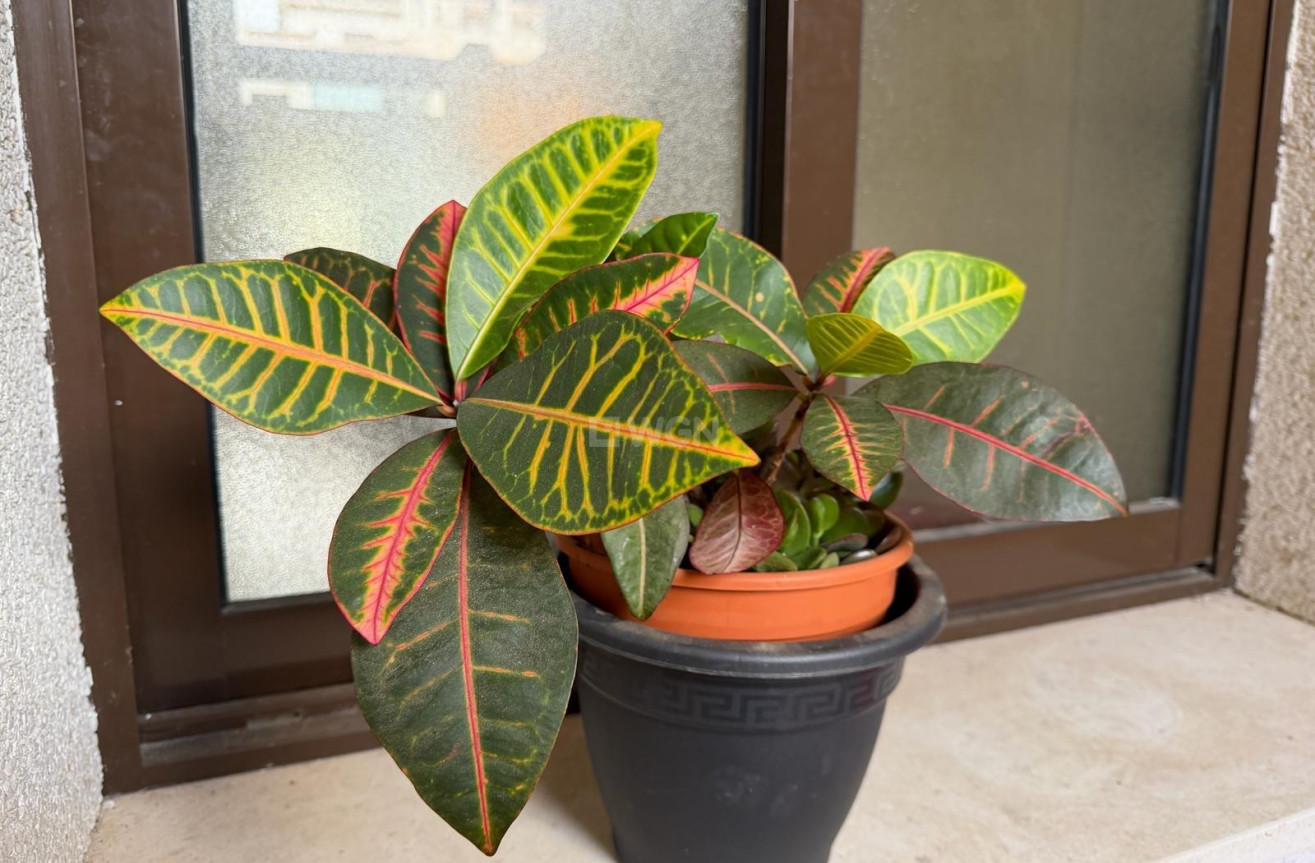 Resale - Apartment / flat - Orihuela Costa - Las Ramblas