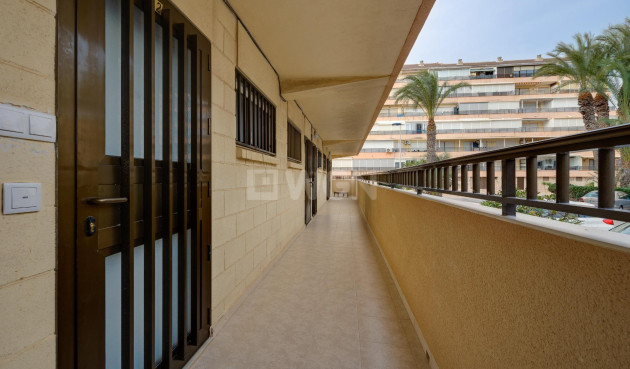 Resale - Apartment / flat - Torrevieja - Cabo Cervera