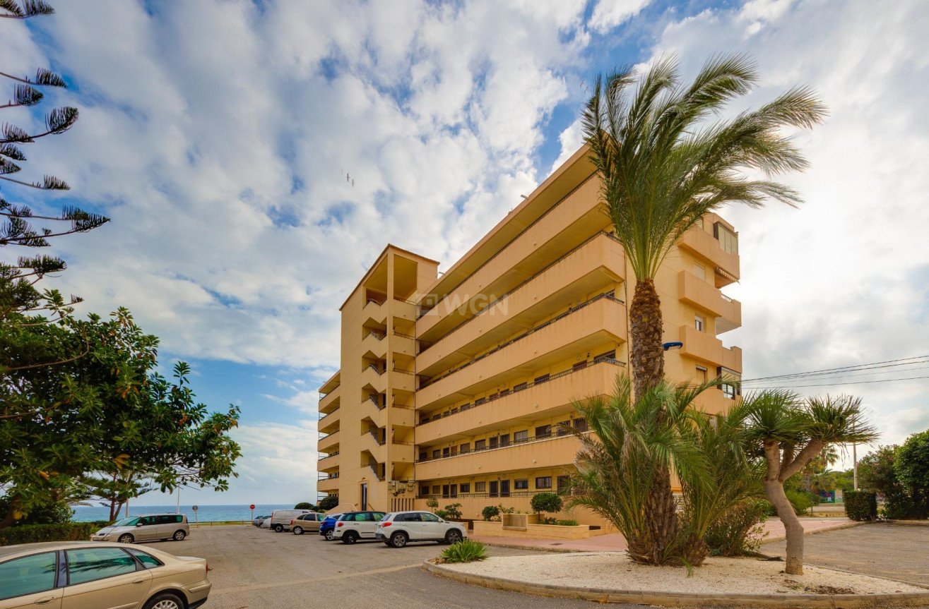 Resale - Apartment / flat - Torrevieja - Cabo Cervera
