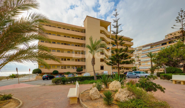Resale - Apartment / flat - Torrevieja - Cabo Cervera