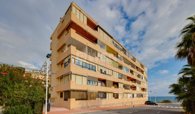Resale - Apartment / flat - Torrevieja - Cabo Cervera