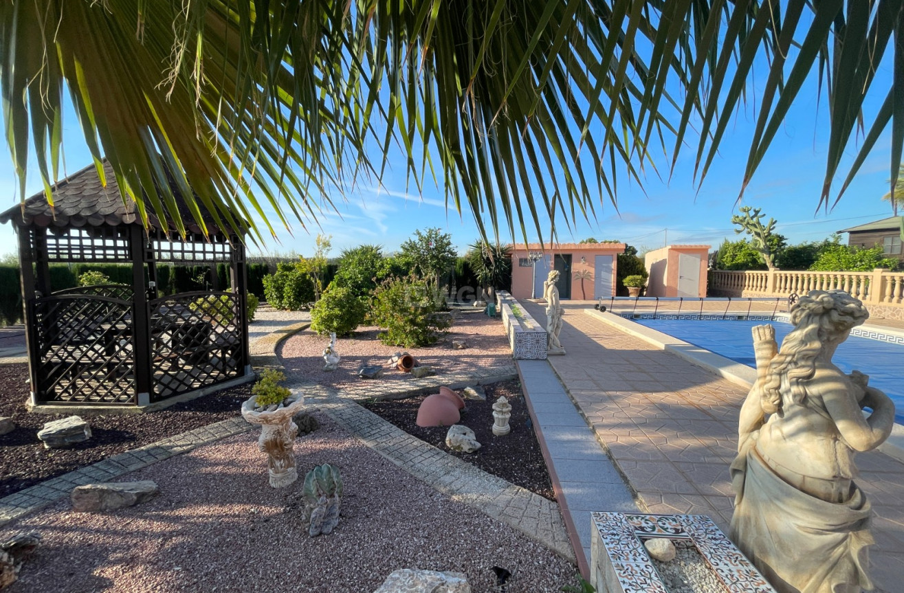 Odsprzedaż - Villa - Crevillent - Inland