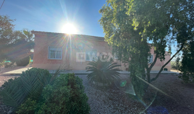 Odsprzedaż - Villa - Crevillent - Inland