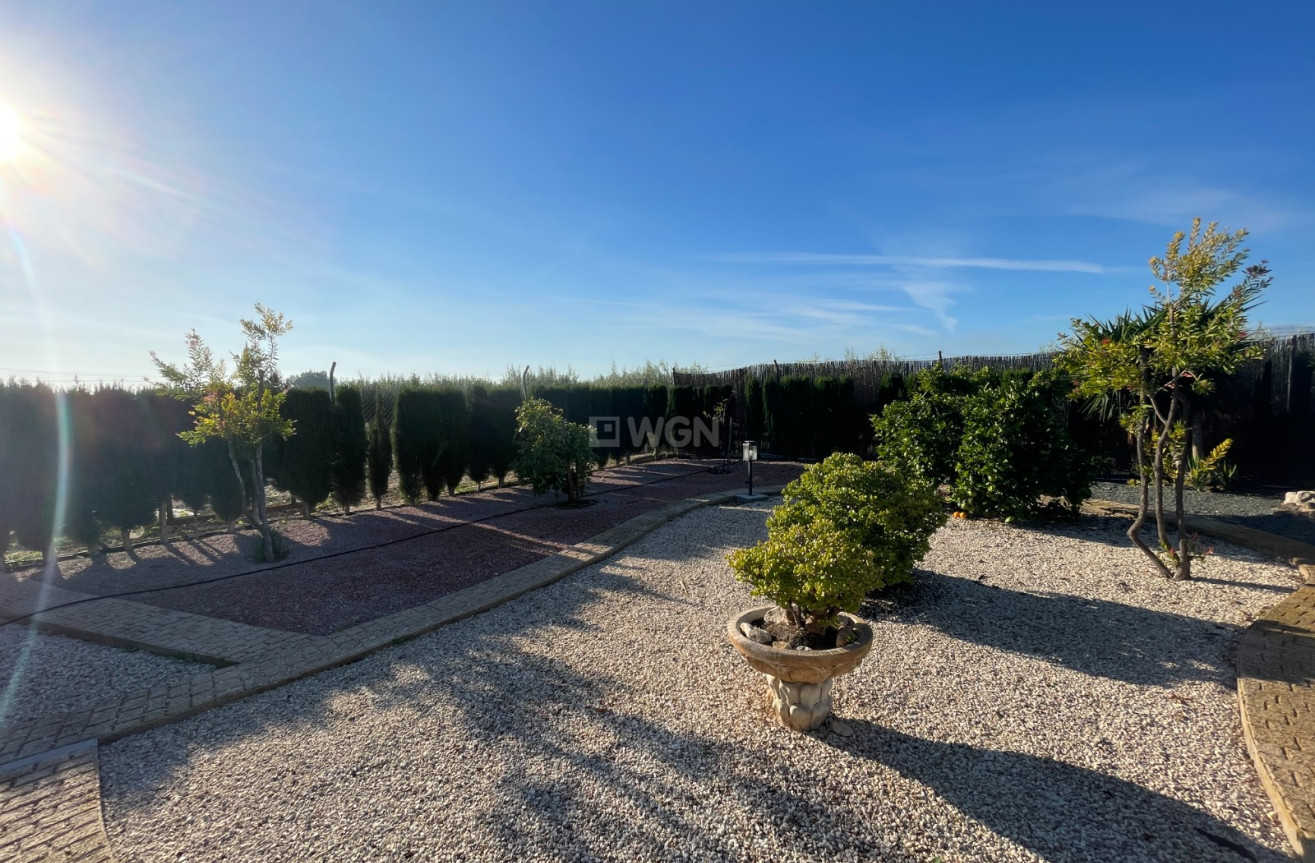 Odsprzedaż - Villa - Crevillent - Inland