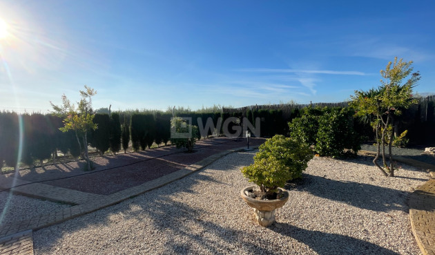 Odsprzedaż - Villa - Crevillent - Inland