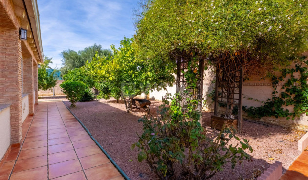 Resale - Villa - Torrevieja - El Chaparral