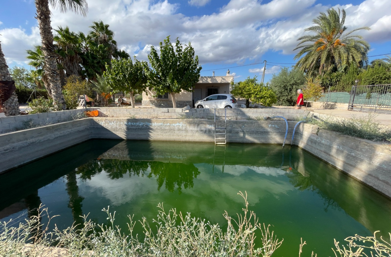 Resale - Villa - Crevillent - Inland