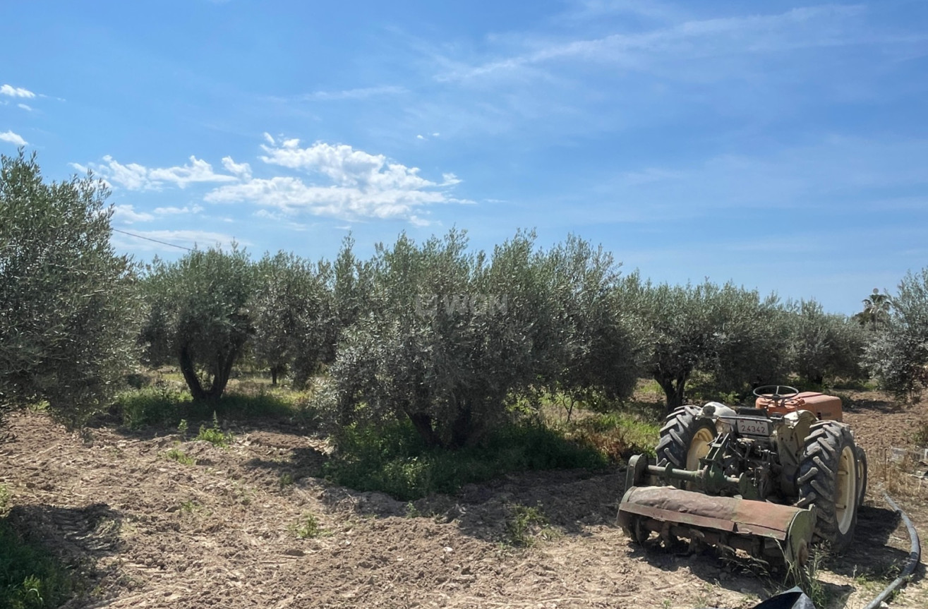 Resale - Villa - Crevillent - Inland