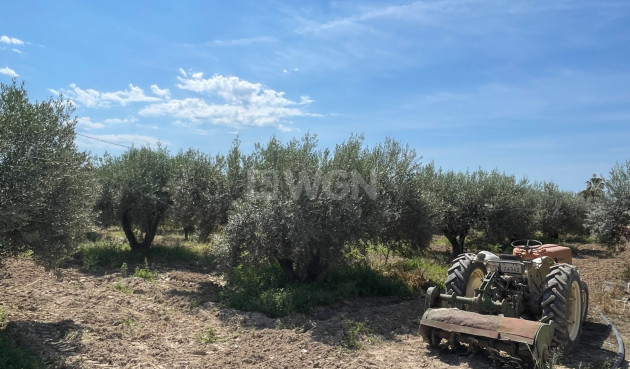 Resale - Villa - Crevillent - Inland