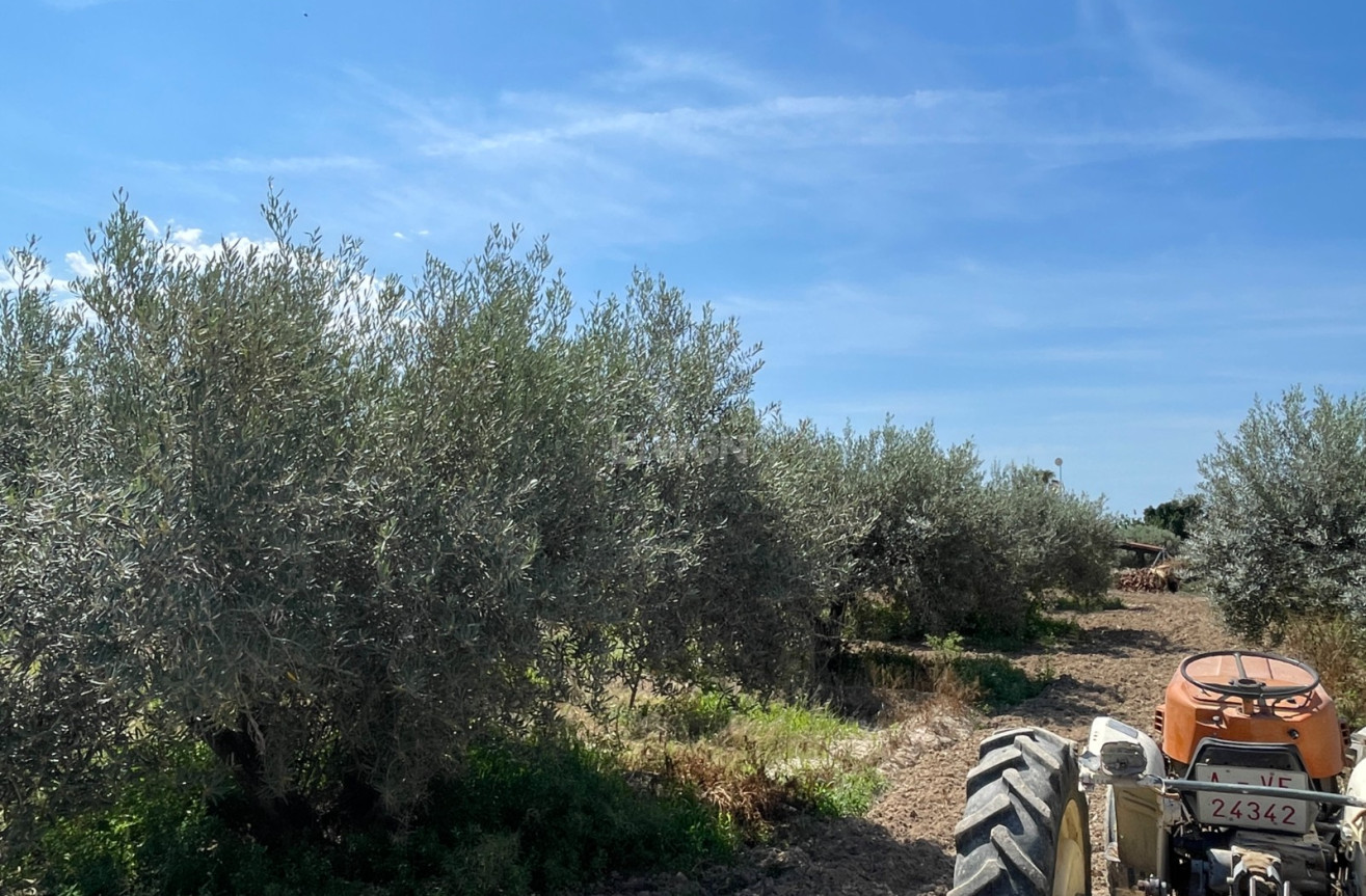 Resale - Villa - Crevillent - Inland