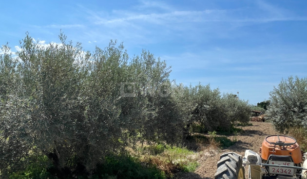 Resale - Villa - Crevillent - Inland