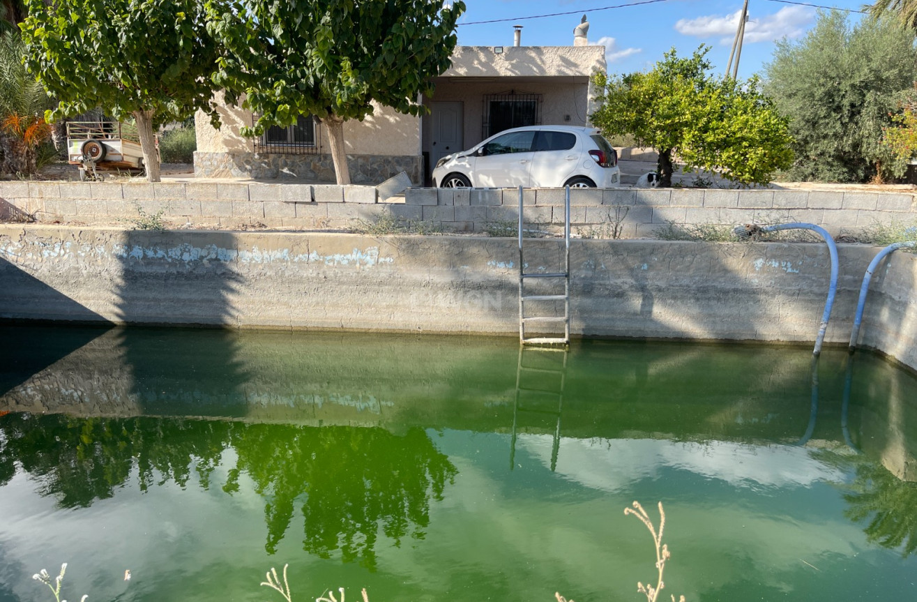 Resale - Villa - Crevillent - Inland