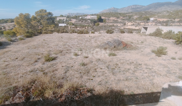 Resale - Villa - Crevillent - Inland