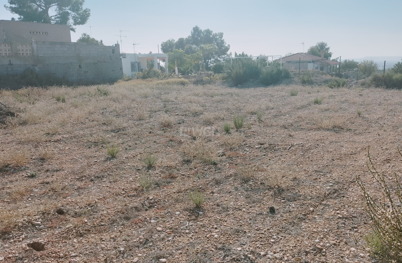 Resale - Villa - Crevillent - Inland