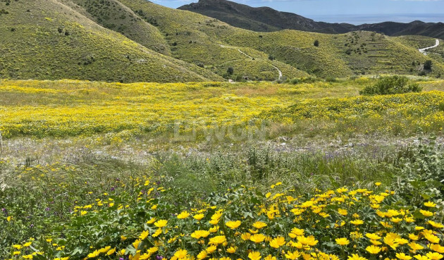 Resale - Villa - Cartagena - Costa Calida